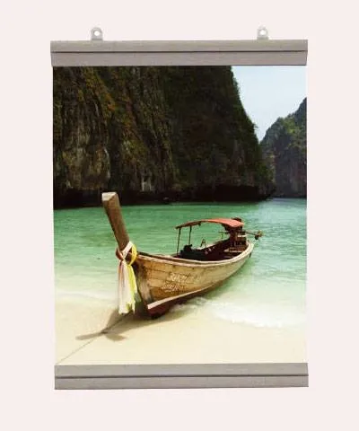 Poster Gripper 30 cm snapper