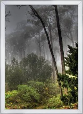 Poster Ebadı -B2 - 50x70 cm