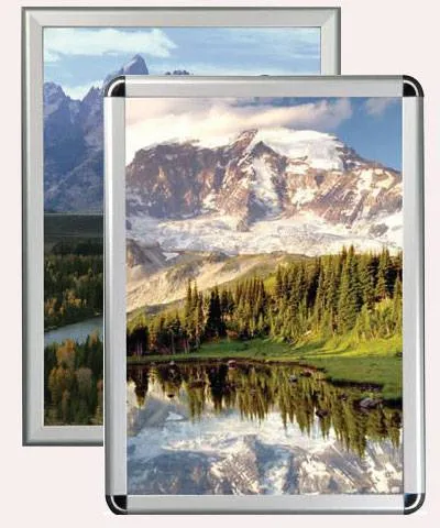 Poster Ebadı -A2 - 42x60 cm